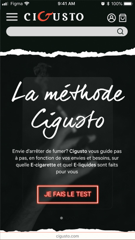 accueil du site de cigusto